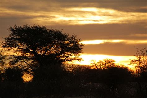 In the Kalahari | Beautiful sunset, Sunset, Clouds