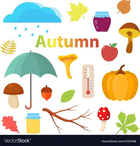 Set Autumn Objects For Design Royalty Free Vector Image