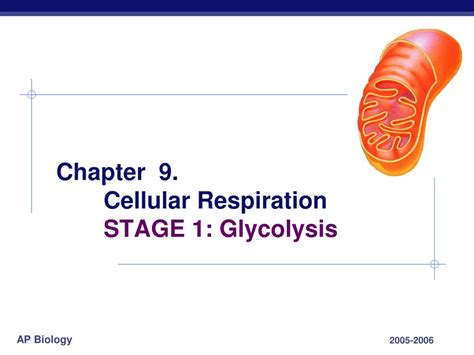 PPT Chapter 9 Cellular Respiration STAGE 1 Glycolysis PowerPoint