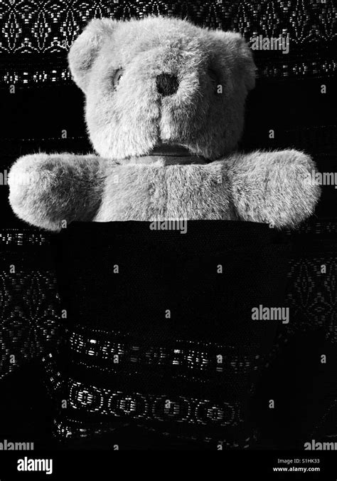 Teddy Bear Black And White Stock Photos And Images Alamy