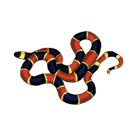 Coral Snake Snake Tapestry Teepublic