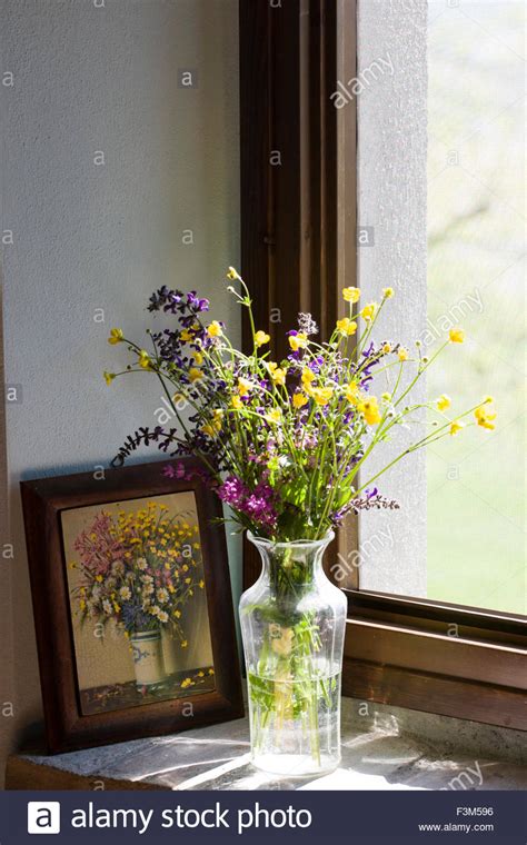 Window Sill Flowers Stock Photos And Window Sill Flowers Stock Images Alamy