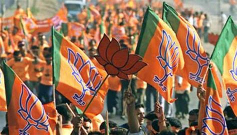 Maharashtra Municipal Elections Results Big Win For BJP In Pune Latur