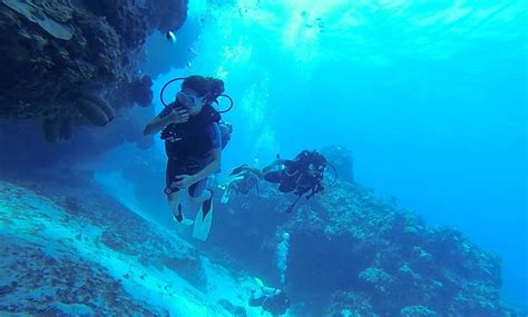 Cozumel Coral Reef Private Scuba Diving All You Need To Know Before