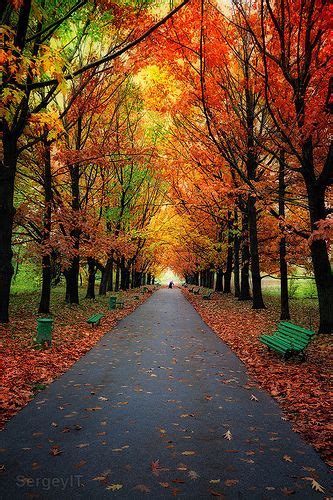 Autumn Trees In Park With Colorful Leaves Autumn Scenery Beautiful