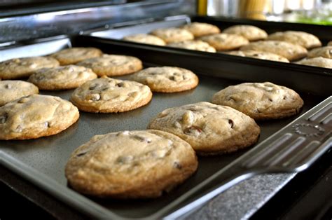 One Classy Dish Classic Chocolate Chip Cookies
