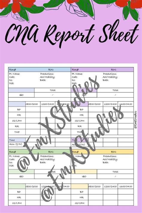 Cna Report Sheet Cna Daily Flowsheet Etsy