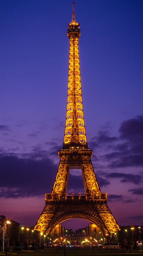 Paris Eiffel Tower Photo Paris Eiffel Tower · Free Stock Photo Fern