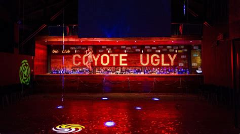 Lisboa Já Tem Um Coyote Bar Observador