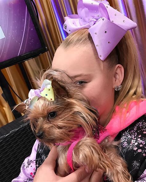 Why Is My Dog So Cute 💕🦄 Jojo Siwa Bows Jojo Snapchat Jojo Bows