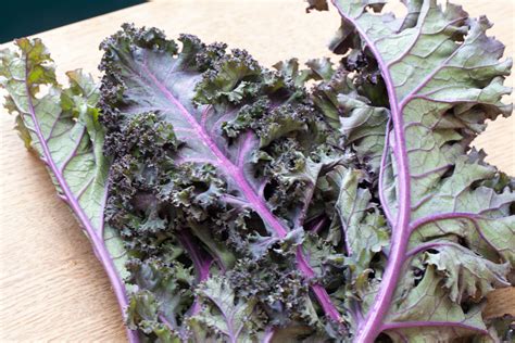 How To Cook Red Kale Livestrongcom Kale Salad Recipes Salad