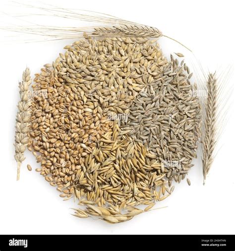Grains Cereal Grains Cereal Kernels Stock Photo Alamy