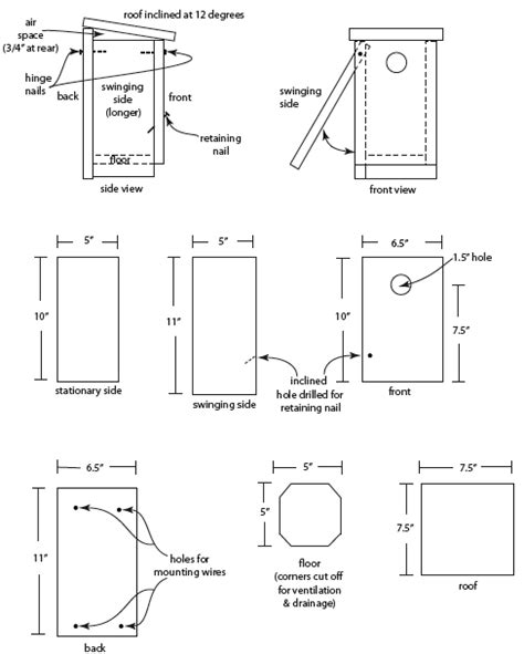 Golondrinas Nest Box Design Inches House Sparrow Nest Bird House