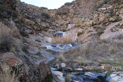 Cottonwood Creek Falls A Hidden Waterfall Near Mt Laguna