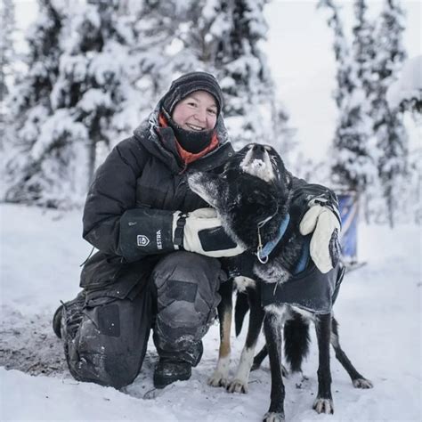Day Trip Dog Sled Tour In Kiruna Arctic Dogsled Ab