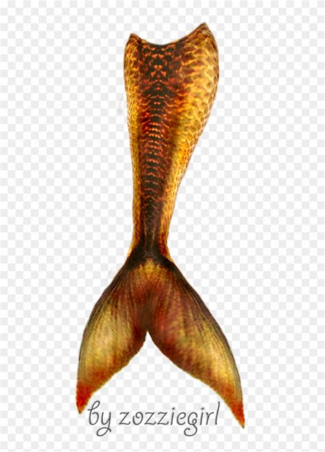 Mermaid Tail Png Gold Mermaid Tail Png Transparent Png 730x1095
