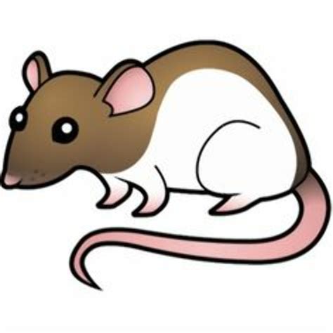 Download High Quality Rat Clipart Cute Transparent Png Images Art