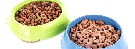 While there's a wet cat food for every budget, keep in mind that prices vary according to the quality of the ingredients and production standards. Best Cat Food Brands + Verified Reviews | ConsumerAffairs