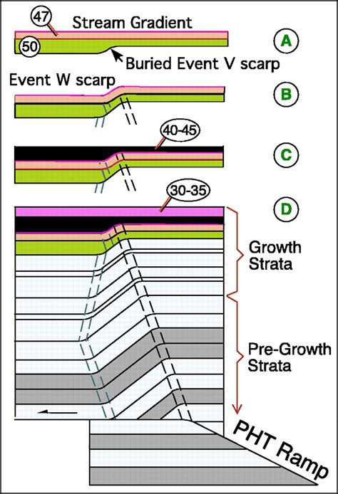 Recognition Of Paleoearthquakes On The Puente Hills Blind Thrust Fault
