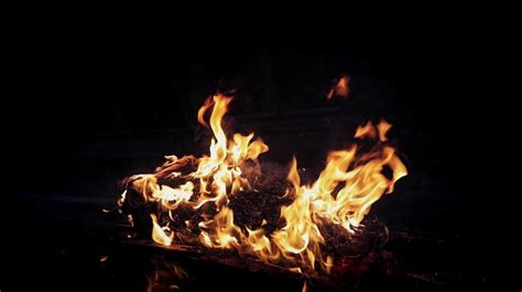 Fire burning against dark isolated background Stock Footage,#dark#burning#Fire#isolated | Fire ...