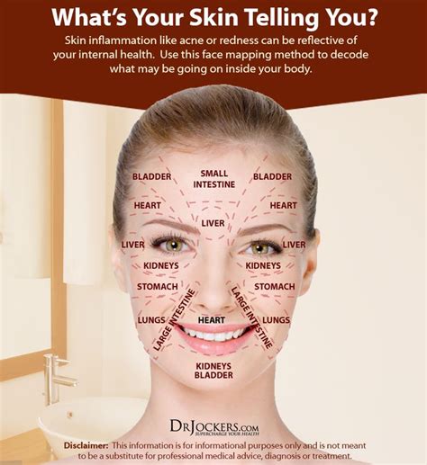 What Does Your Facial Health Say About You Face Mapping Face
