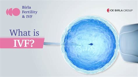 What Is Ivf Birla Fertility And Ivf Youtube