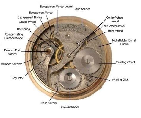 Explaining Watch Terms Clock Parts Pocket Watch Pocket Watch Antique
