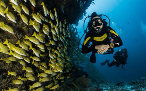 Travel Guide Diving And Snorkeling In Costa Rica