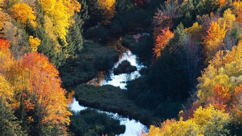 Download Wallpaper 1920x1080 Forest River Aerial View Autumn Trees Colorful Full Hd Hdtv