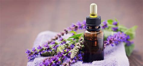 The primary compounds of clary sage essential oil are linalyl acetate, alpha terpineol, linalool, sclareol and geranyl acetate. 7 Shocking Clary Sage Oil Benefits For Skin - Virily