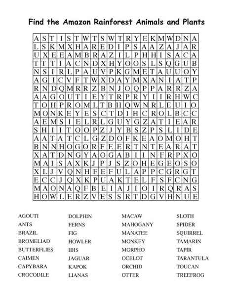 Amazon Rainforest Word Search (Adult)