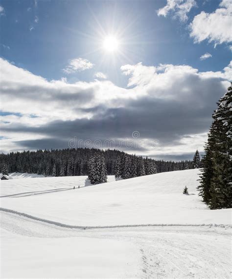 Meadow Covered With Snow Stock Image Image Of Tracks 38234613