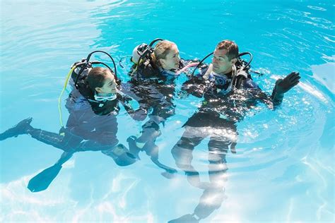 Snorkeling Scuba Diving And Spearfishing Dive Newcastle