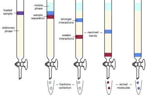 The Basics Of Running A Chromatography Column