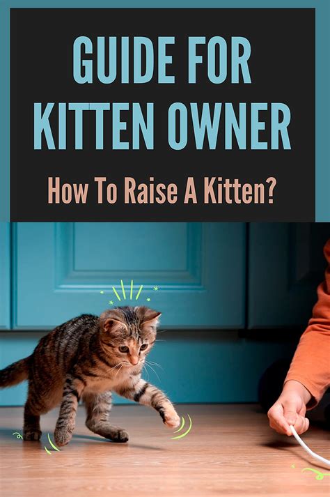 Guide For Kitten Owner: How To Raise A Kitten?: Understanding Kitten