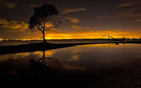 Trees Alone Water Clouds Sunset Photography Wallpapers Hd