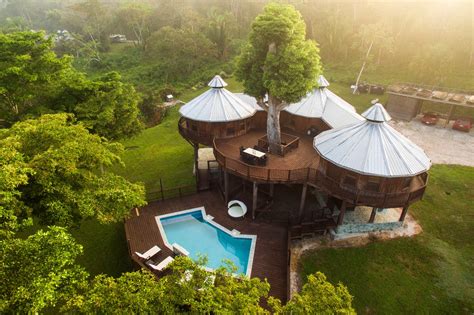 A Treehouse In Belize The New York Times