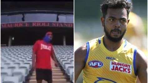 Willie rioli gives away 50 and touches ray chamberlain. 'Beat all the odds': Willie Rioli's 'shark' mentality as ...