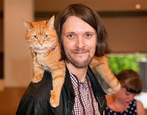 With the first name bob. Bobs World Cat Café Fundraiser | Indiegogo