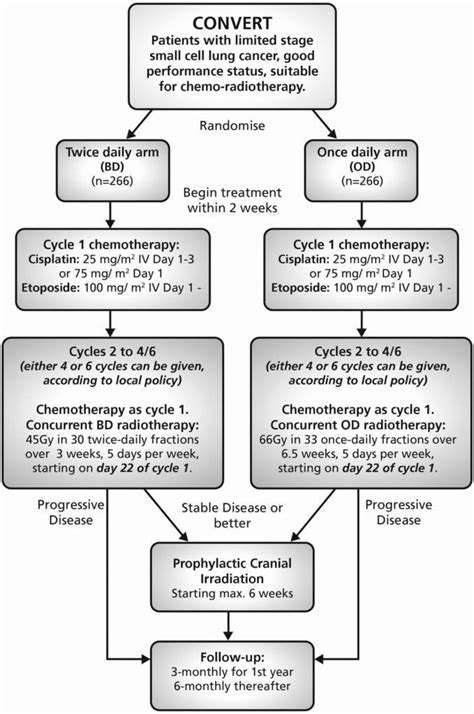 This can help students to help teach their students. Virtual Lab The Cell Cycle And Cancer Worksheet - Nidecmege