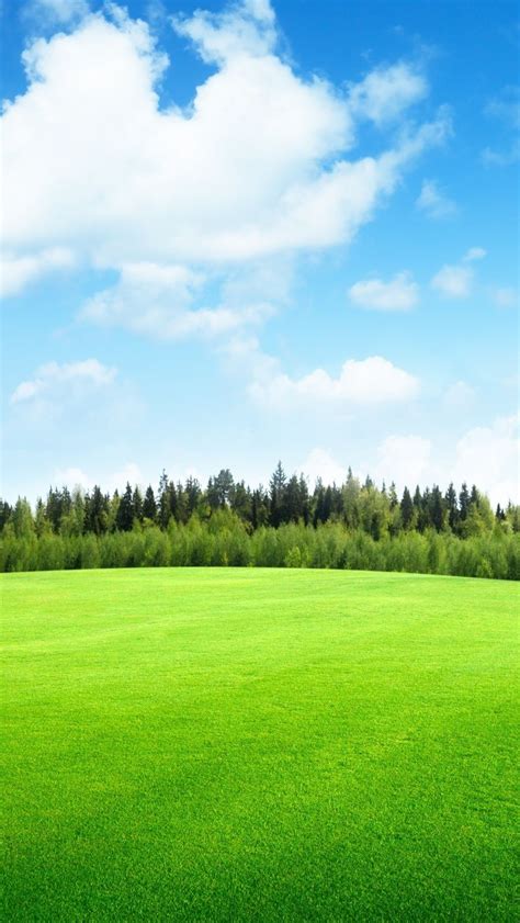 Fealds Sky Meadow Grass Iphone Wallpaper Beautiful Nature Pictures