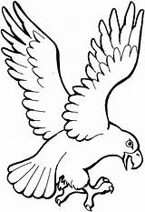 Eagle Coloring Pages Flying Animals sketch template