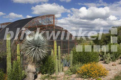 Camino real de xichu 9 valle de maiz, san miguel de allende, mexiko. blickwinkel - Kakteen vor einem Gewaechshaus im ...