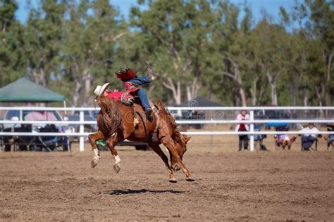 Cowboy Riding A Bucking Bronc Horse At A Country Rodeo Editorial Photo