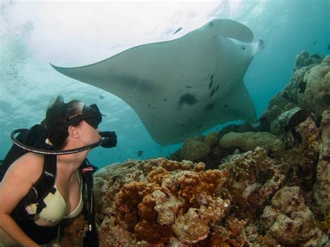 Adventure Travel Scuba Diving With Manta Rays In Yap Micronesia Expat Living Hong Kong