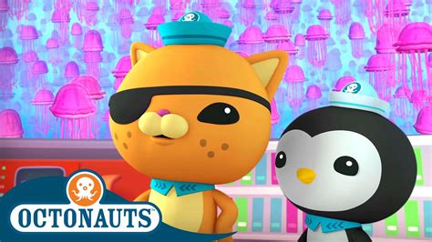 Octonauts Surrounded By Jellyfish Full Episode 36 Cartoons For