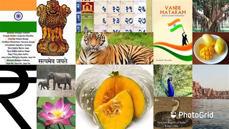 Gk National Symbols Of India 🇮🇳 Youtube