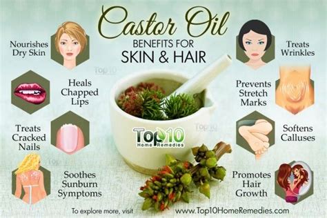 Castor Oil Is Great For Cleansing With Conditioning Benefits For Lashes