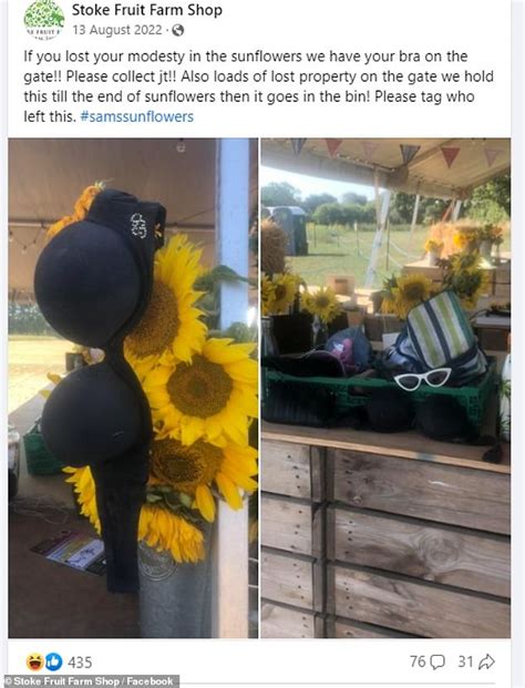 Please Keep Your Clothes On In The Sunflowers Farm Shop Asks People