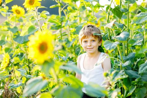 Adorable Little Blond Kid Boy On Summer Sunflower Field Outdoors Cute